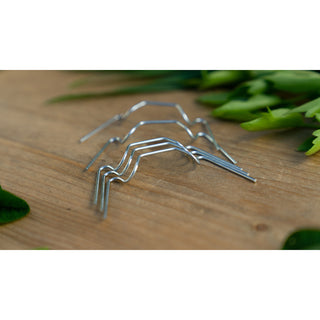 Glasklämfjädrar (20)